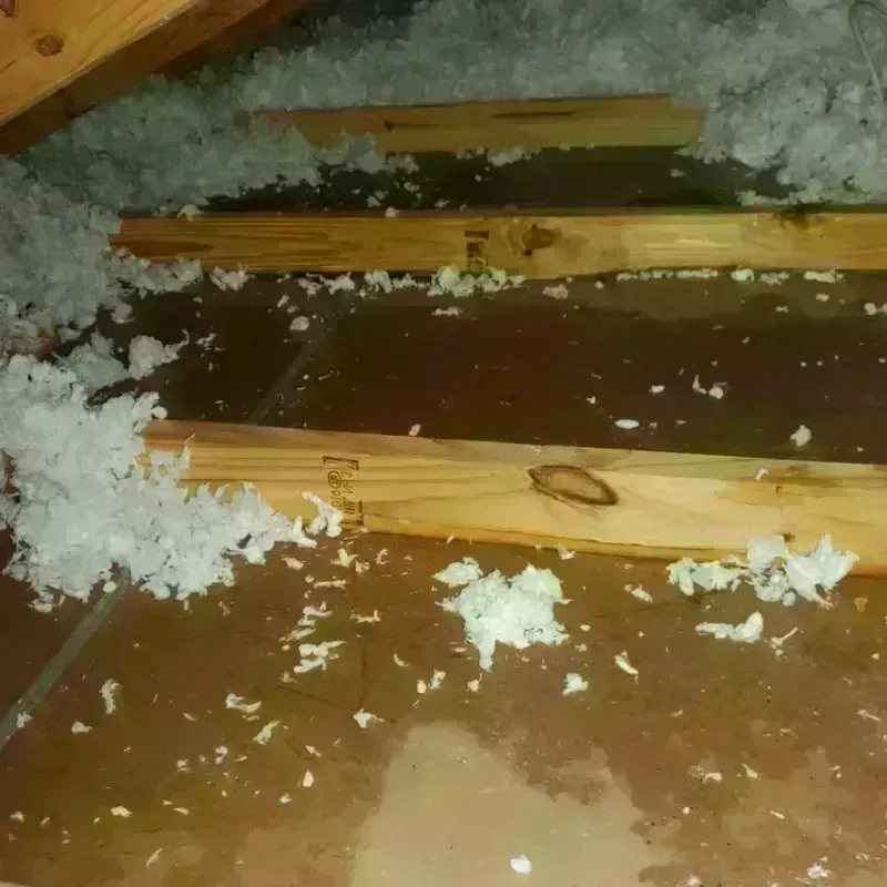 Attic Water Damage in Manor, TX