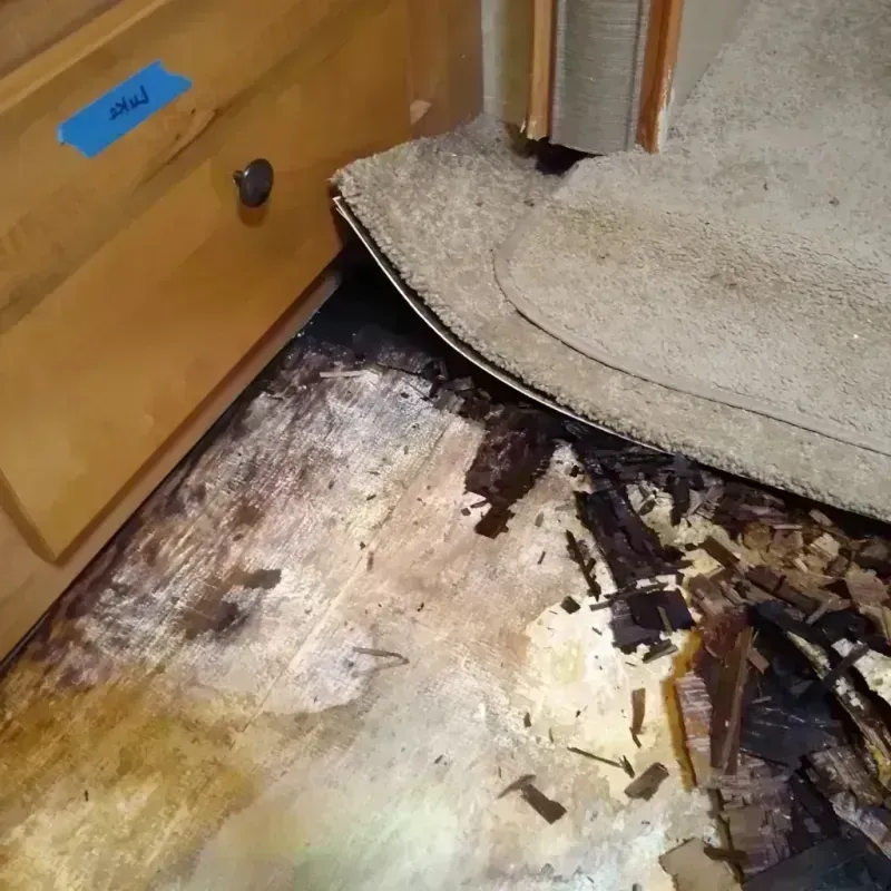 Best Wood Floor Water Damage Service in Manor, TX